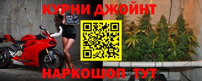 jwh Будённовск