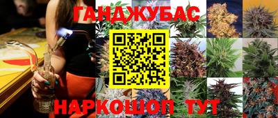 jwh Будённовск